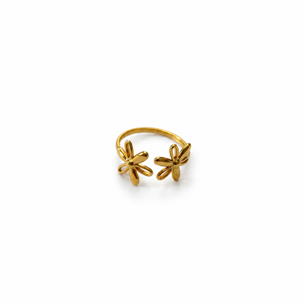 Anillo Celeste