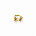 Anillo Celeste