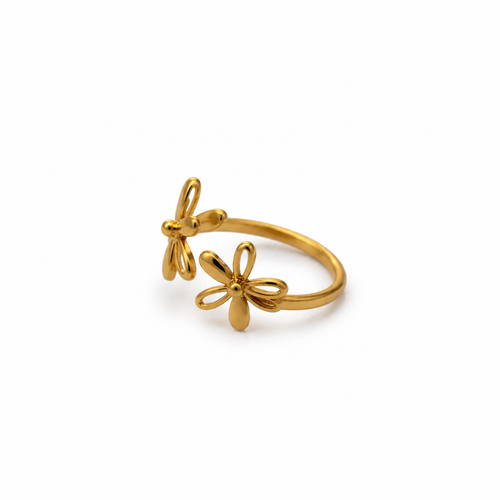 Anillo Celeste