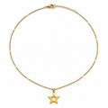 Collar Aster